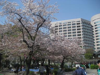 09鶴舞公園 006.jpg