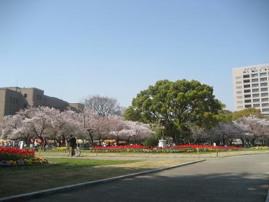 09鶴舞公園 010.jpg