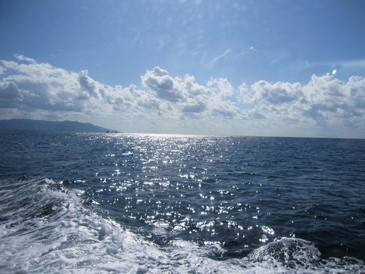 09福井 053.jpg