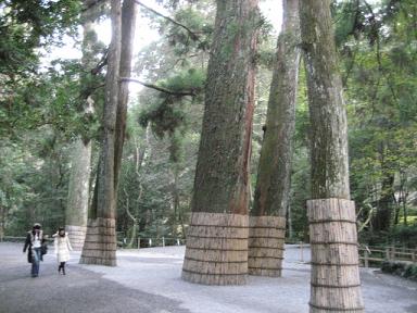 伊勢神宮blog 044.jpg