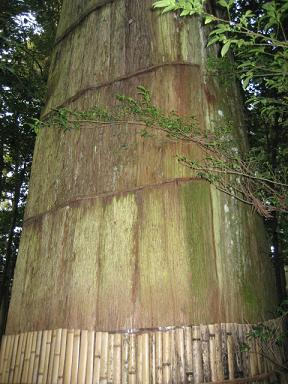 伊勢神宮blog 048.jpg