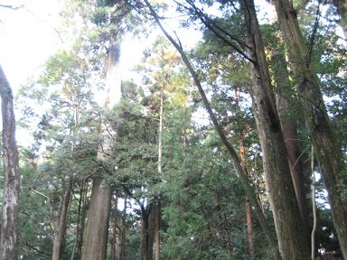 伊勢神宮blog 057.jpg
