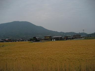 香川 115.jpg