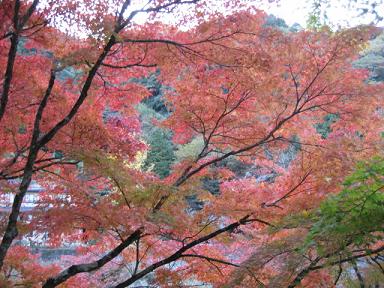 香嵐渓blog 013.jpg