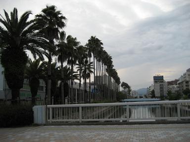 高知 005.jpg