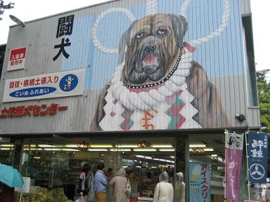 高知 073.jpg