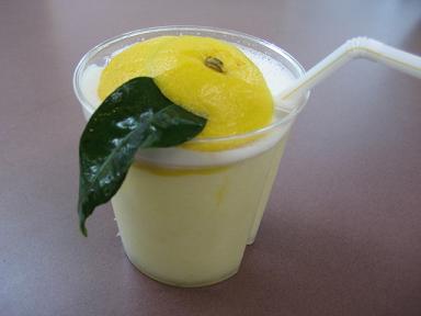 高知 080.jpg
