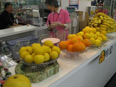 高知 082.jpg