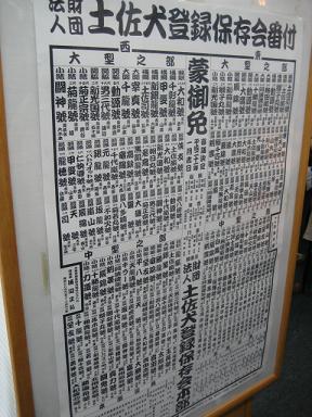 高知 109.jpg
