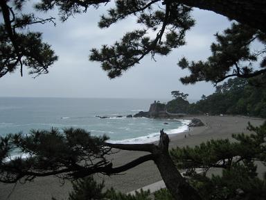高知 115.jpg