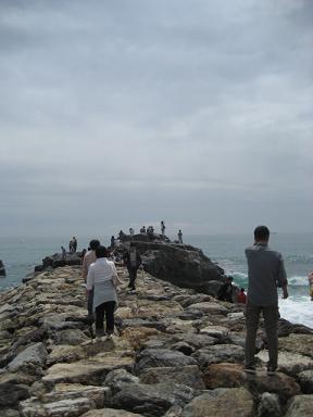 高知 163.jpg