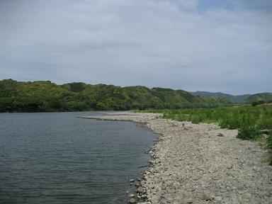 高知 217.jpg