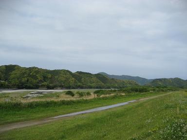 高知 251.jpg