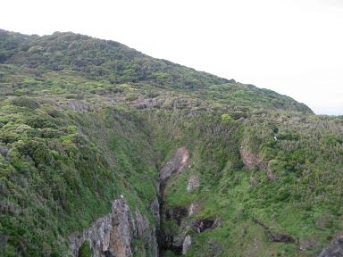 高知 275.jpg