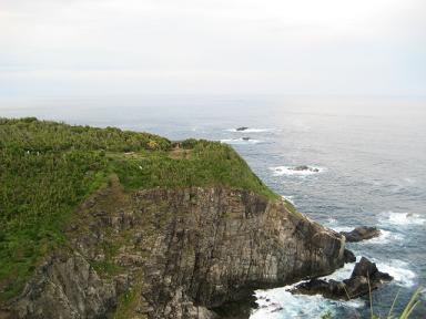 高知 277.jpg