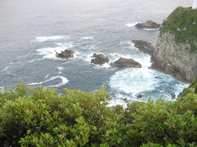 高知 281.jpg