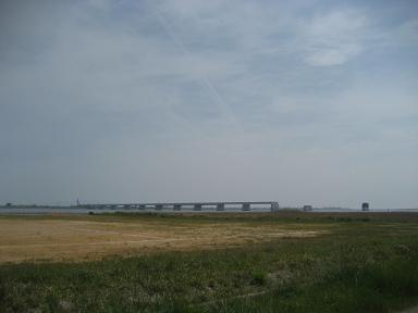 徳島 036.jpg