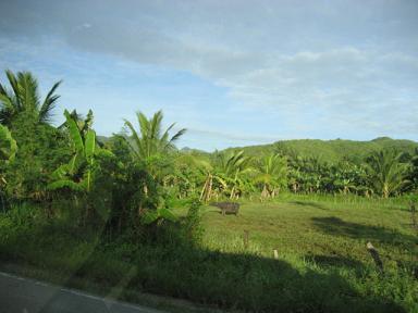 blog 14281348.jpg