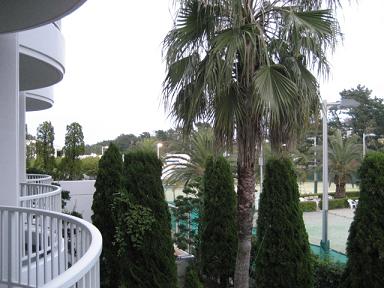 blog 142820201.jpg