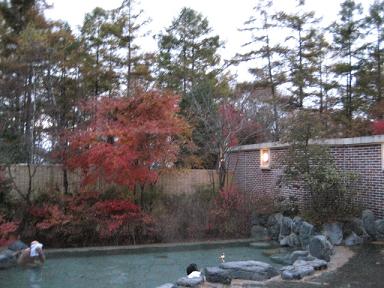 blog 142845.jpg