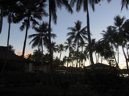 palau 149.jpg