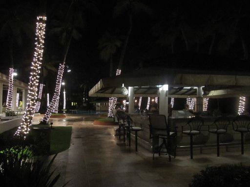 palau 159.jpg