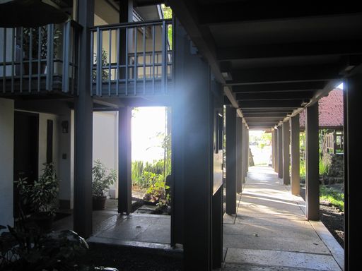 palau 455.jpg