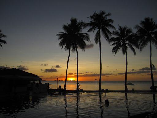 palau 502.jpg