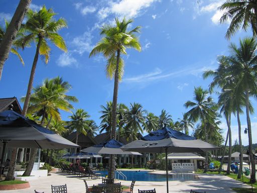palau 550.jpg